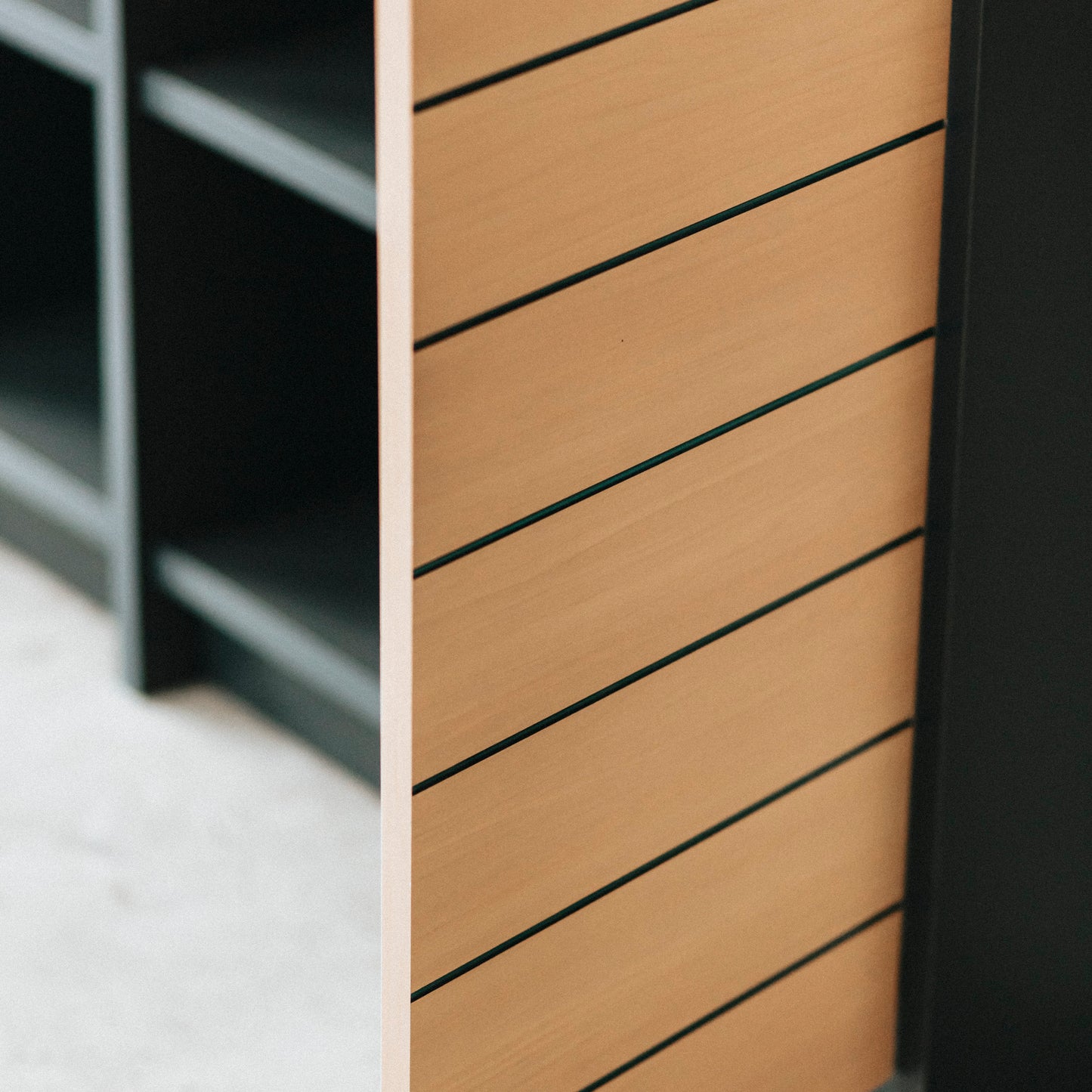 パネル付きキャビネット|Cabinet with front panel