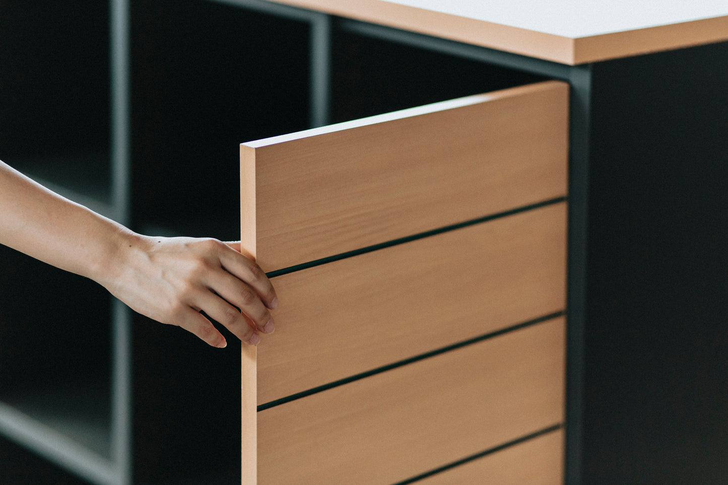 パネル付きキャビネット｜Cabinet with front panel